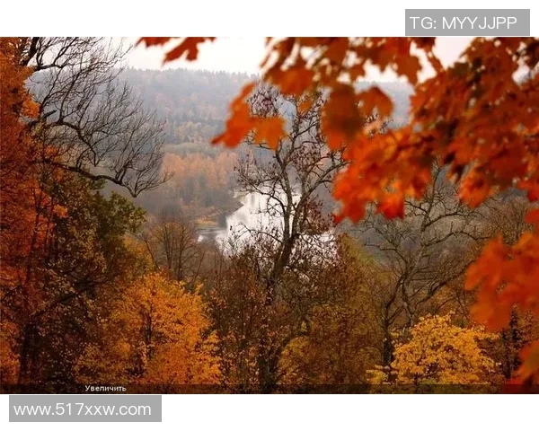 足球明星与秋天美景交融的绝美瞬间展现了运动与自然的和谐之美